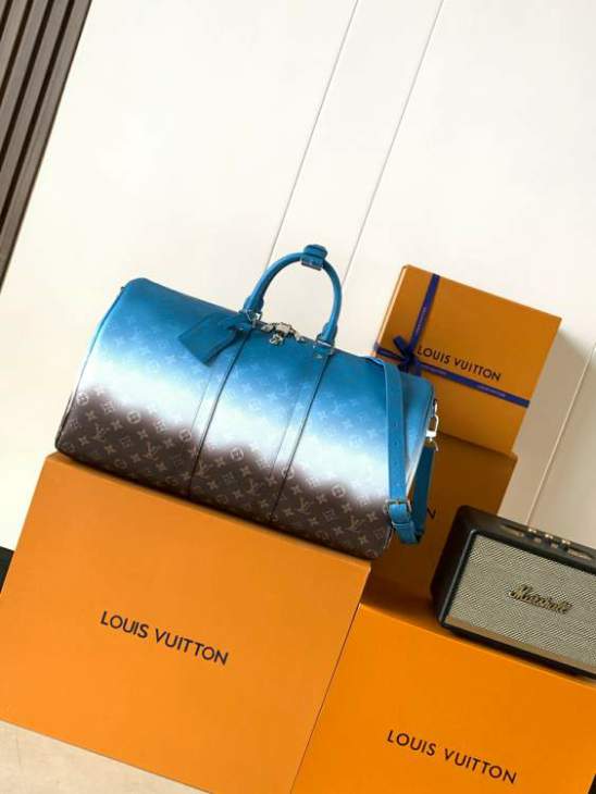 Picture of Louis Vuitton Handbags _SKUfw240127953fw